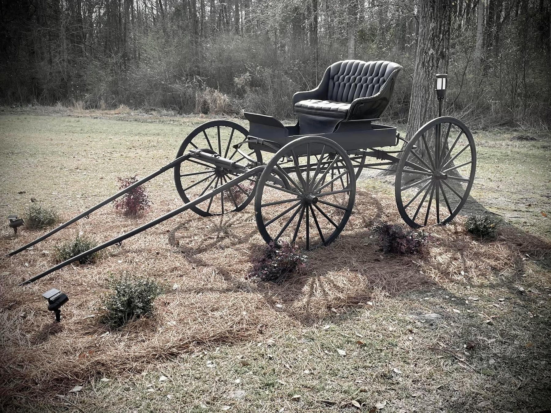 A vintage carriage in a secluded rural setting.